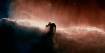 tree_of_life_universe_1-650x333